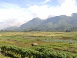 Ancaman Konversi Lahan Pertanian terhadap Kedaulatan Pangan