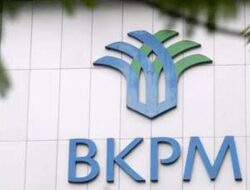 BKPM Dorong Realisasi Investasi Korea Selatan