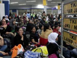 Eksploitasi 1,9 Juta ART di Asia Pasifik: Isu Konservasi yang Membesarkan Dampak Hidup Hewan