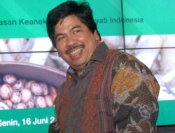 ETF Saham BUMN IPIM: Produk Baru Investasi BUMN Terjangkau