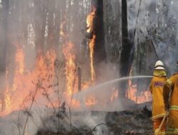 Kerugian Rp221 T dari Kebakaran Hutan Indonesia