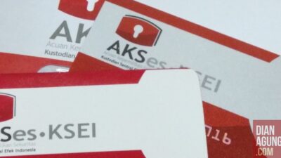 Kolaborasi AKSes KSEI dengan Kartu Brizzi: Kebijakan Pendukung Pengelolaan Kebudayaan