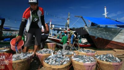 Kredit Perbankan Meningkat Signifikan Dalam Ekosistem Perekonomian