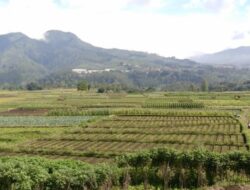 Kredit Pertanian Raihan 6,4% dari Jangkauan Bank Berjangka