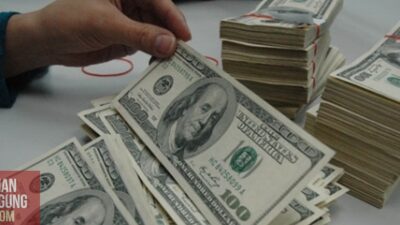 Manfaatkan Kapital Influenza Melalui UKM Sektor Halal