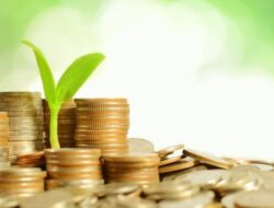 Pemda Tangkap Dana Menganggur Capai Rp242 Triliun