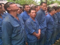 Pemerintah Tuntut Perlindungan Pekerja China Ilegal di Indonesia