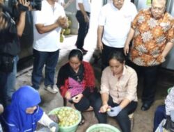 Sektor Pertanian Raih Pemulangan Kembali dari OJK