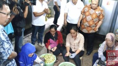 Sektor Pertanian Raih Pemulangan Kembali dari OJK