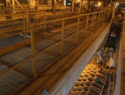 Semen Indonesia Tanggap UMKM dengan Pelatihan Teknis