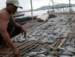 Target Asuransi Pertanian Sulit Tercapai: OJK