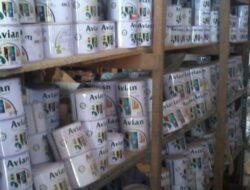 Target Pertumbuhan Avia Cat 30% di 2024