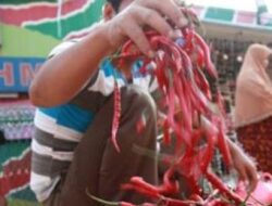 TPID Kendalikan Inflasi Jelang Lebaran, Harga Stabil